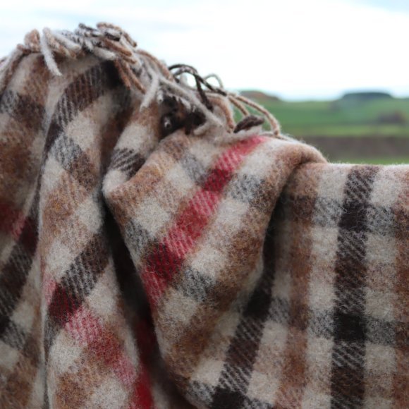 Burnside Check Pure New Wool Blanket 01