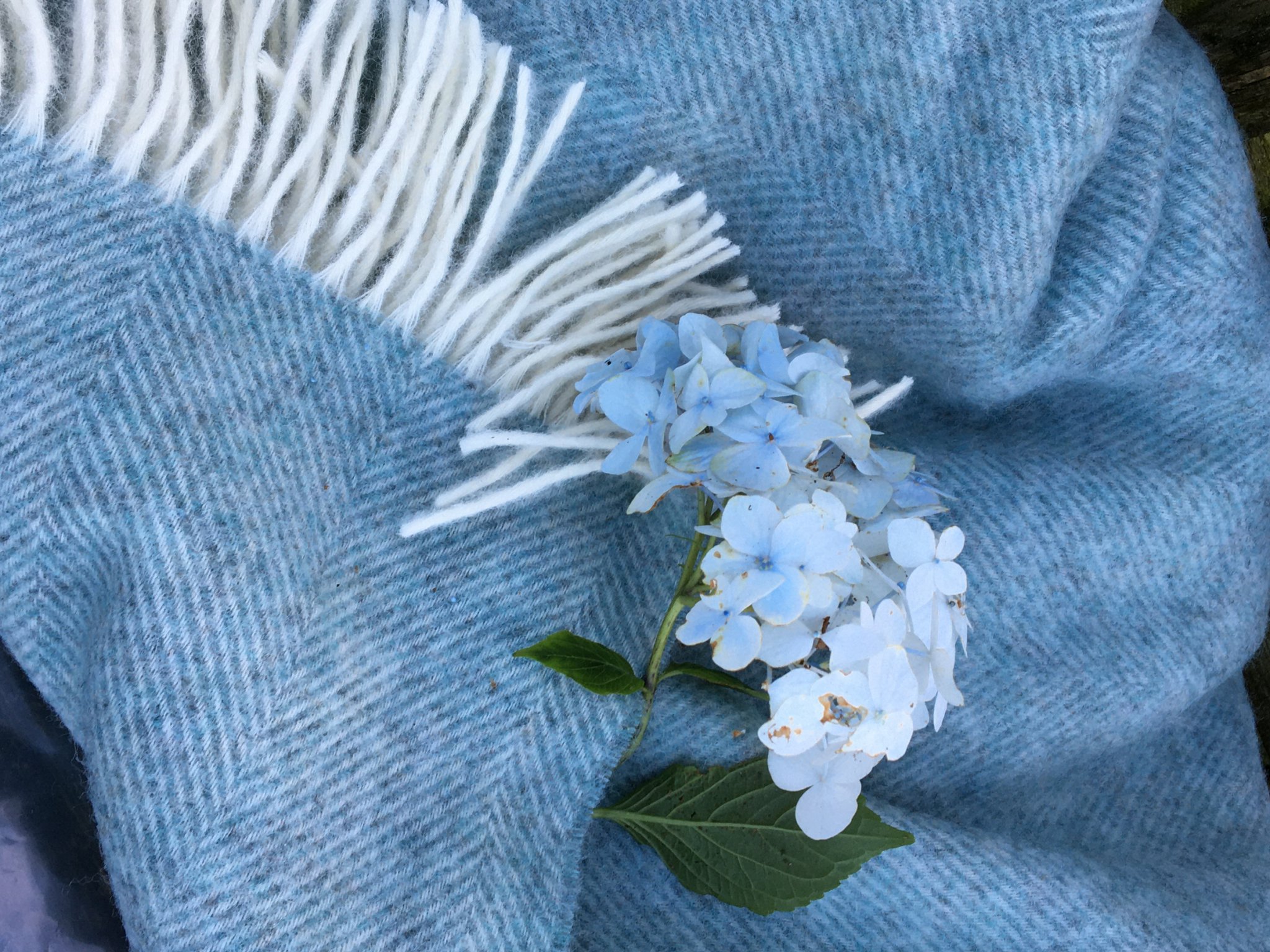 Duck egg blue blankets and throws online
