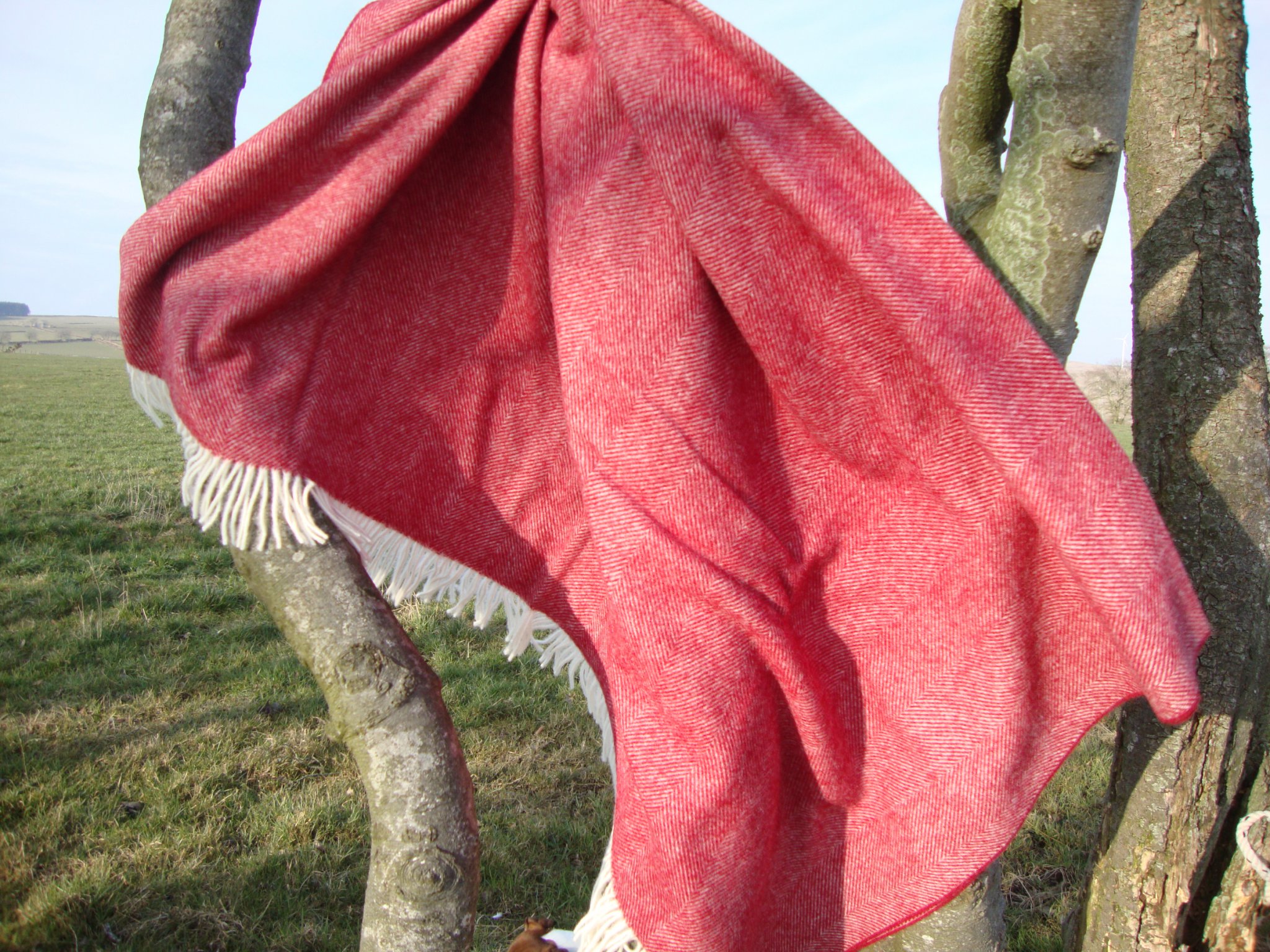Red wool blanket hotsell