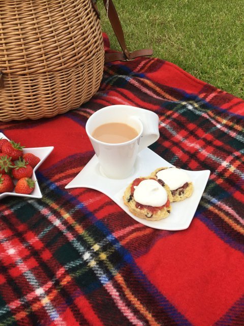Royal Stewart Tartan Pure New Wool Waterproof Picnic Blanket 04