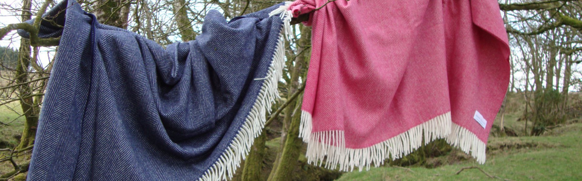 navy blue and cerise pink blankets hanging in tree