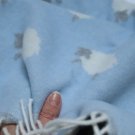 Sheep Blue Merino Baby Blanket 04